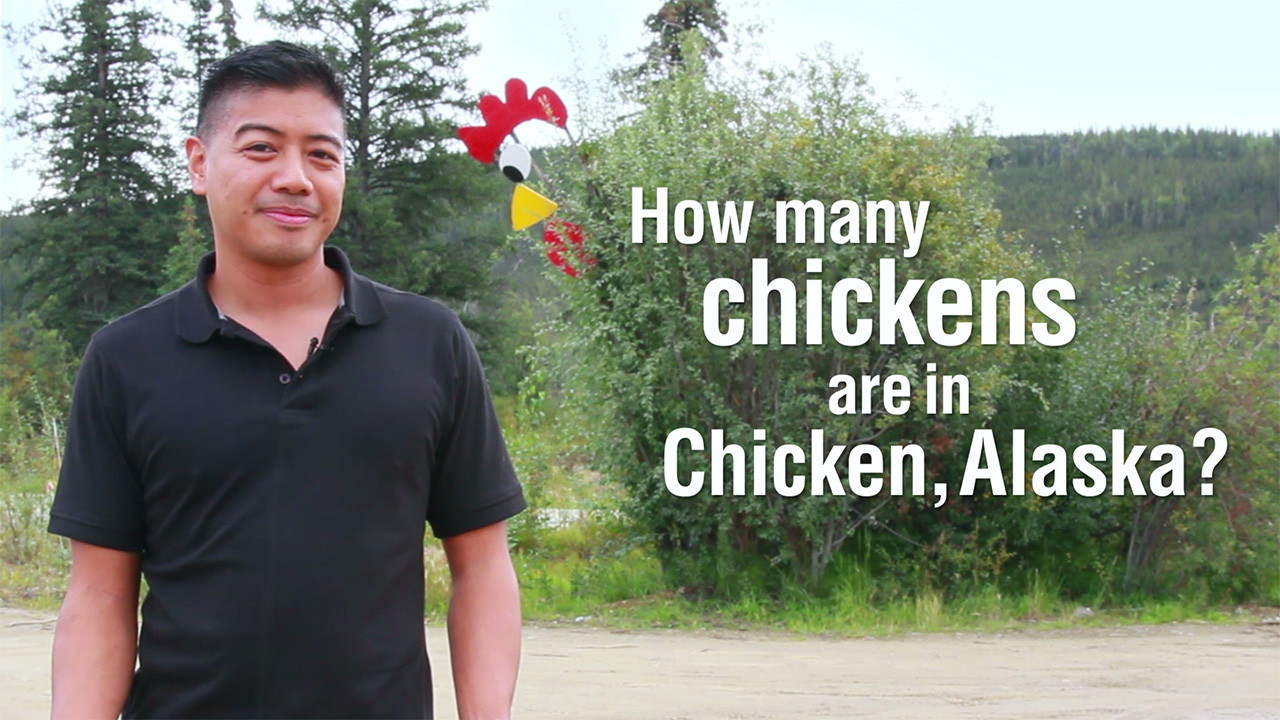 How many chickens are in Chicken, Alaska?