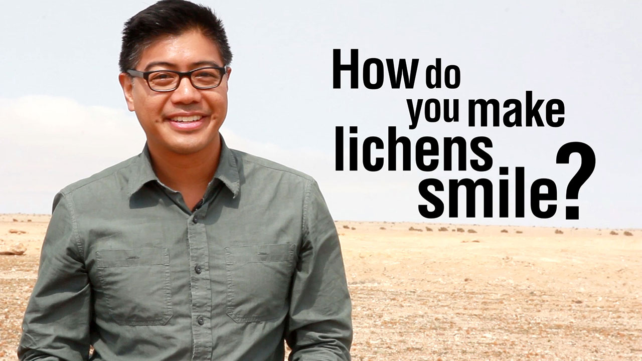 How can you make lichens smile?